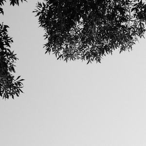 欧美性爱xx×高潮喷水
